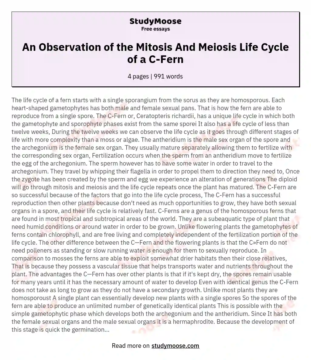 An Observation of the Mitosis And Meiosis Life Cycle of a C-Fern essay