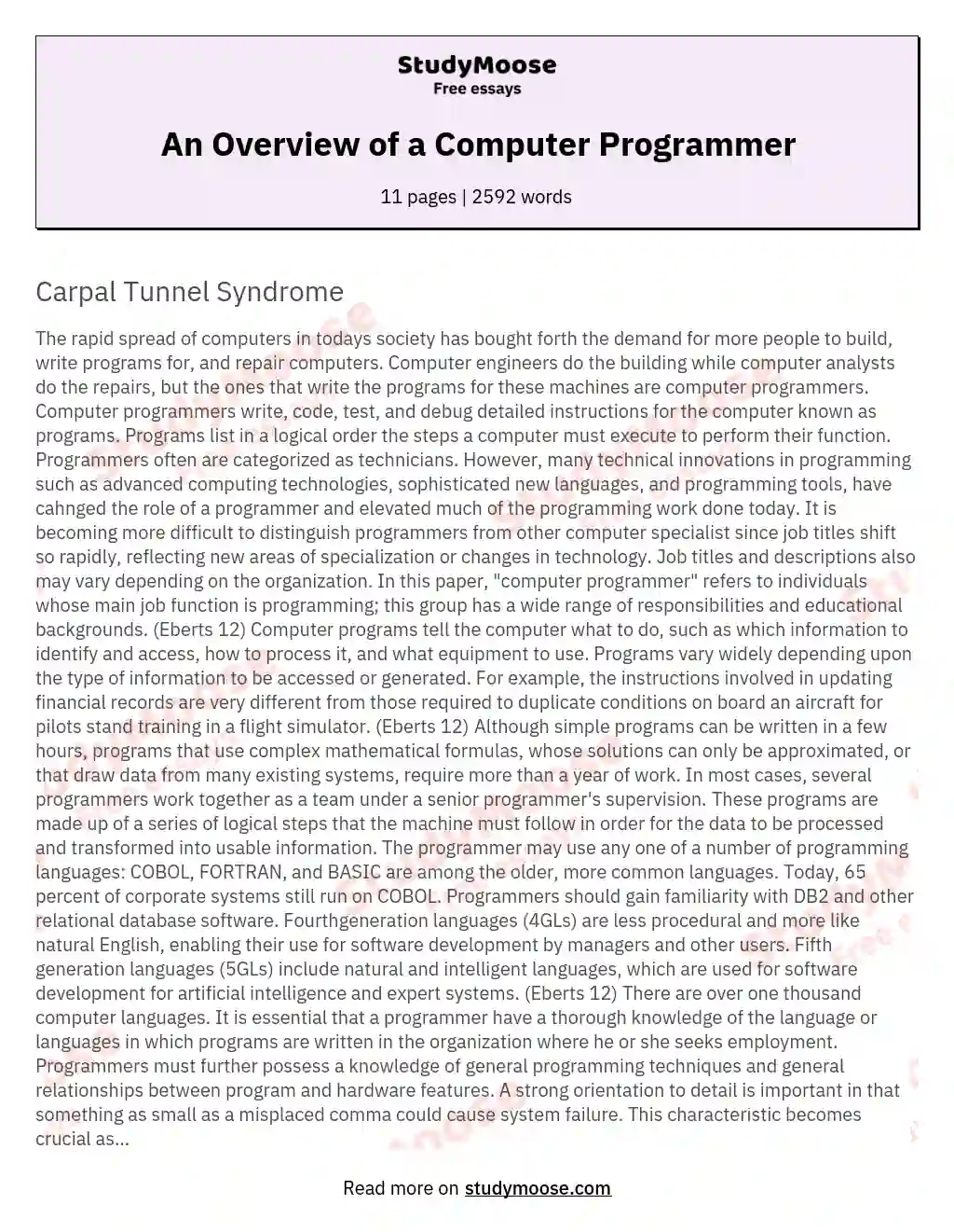 An Overview of a Computer Programmer essay