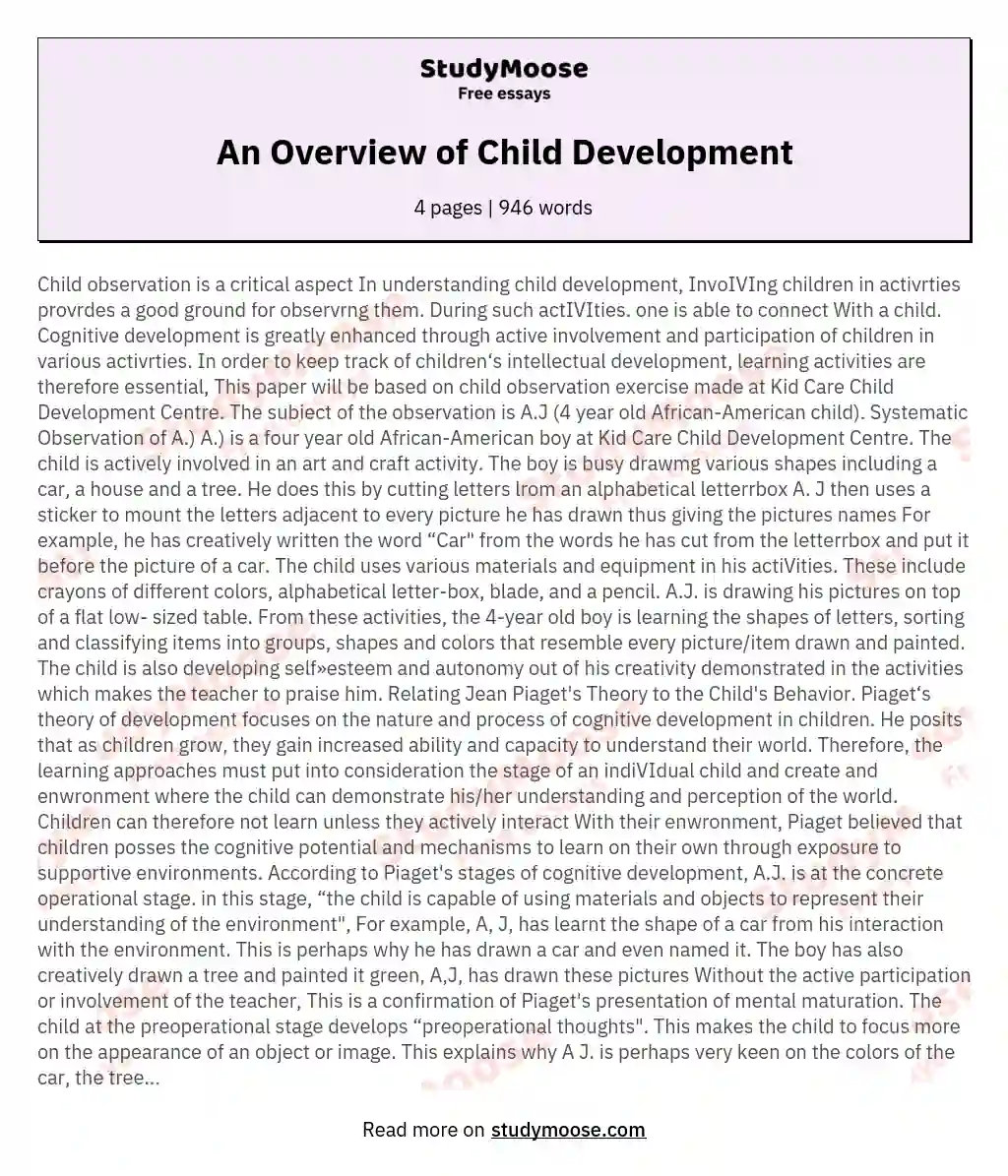 An Overview of Child Development essay