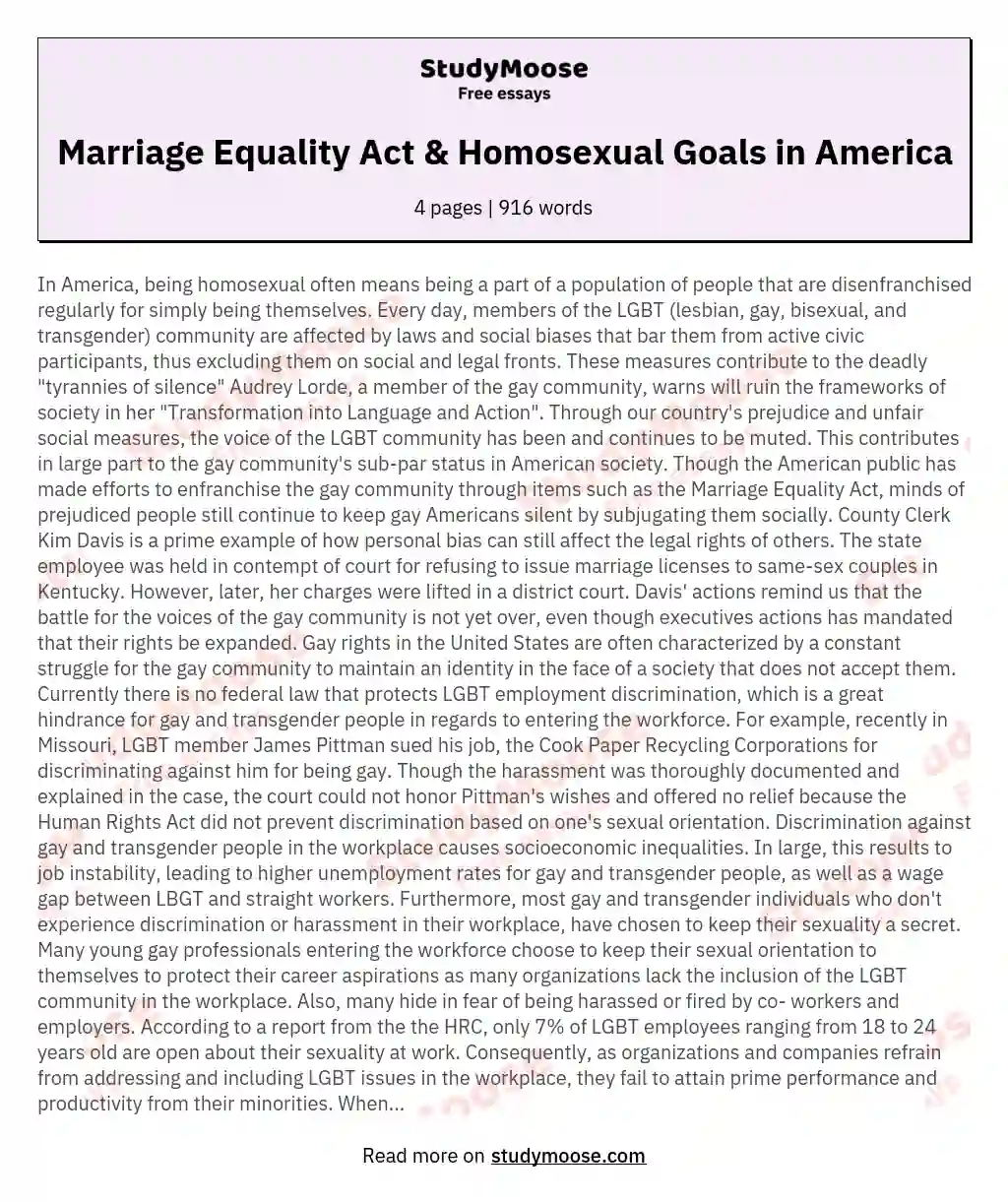 Marriage Equality Act & Homosexual Goals in America essay