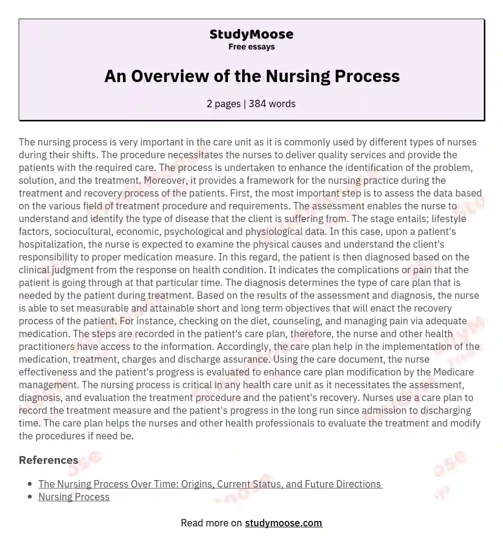 An Overview of the Nursing Process essay