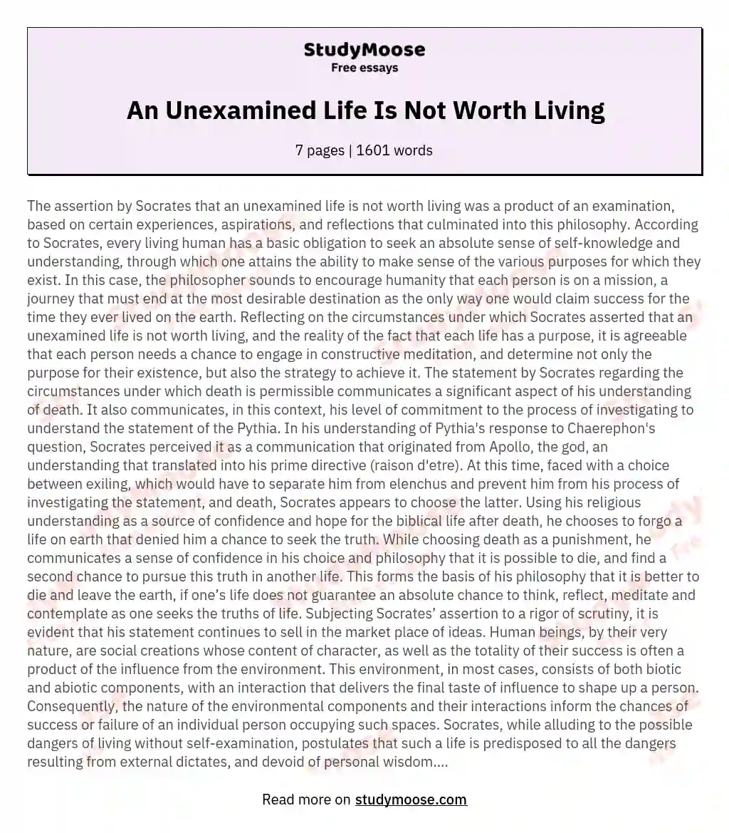 An Unexamined Life Is Not Worth Living essay