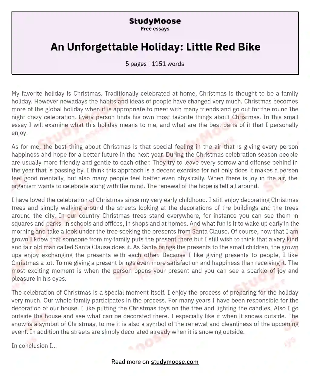 An Unforgettable Holiday: Little Red Bike essay