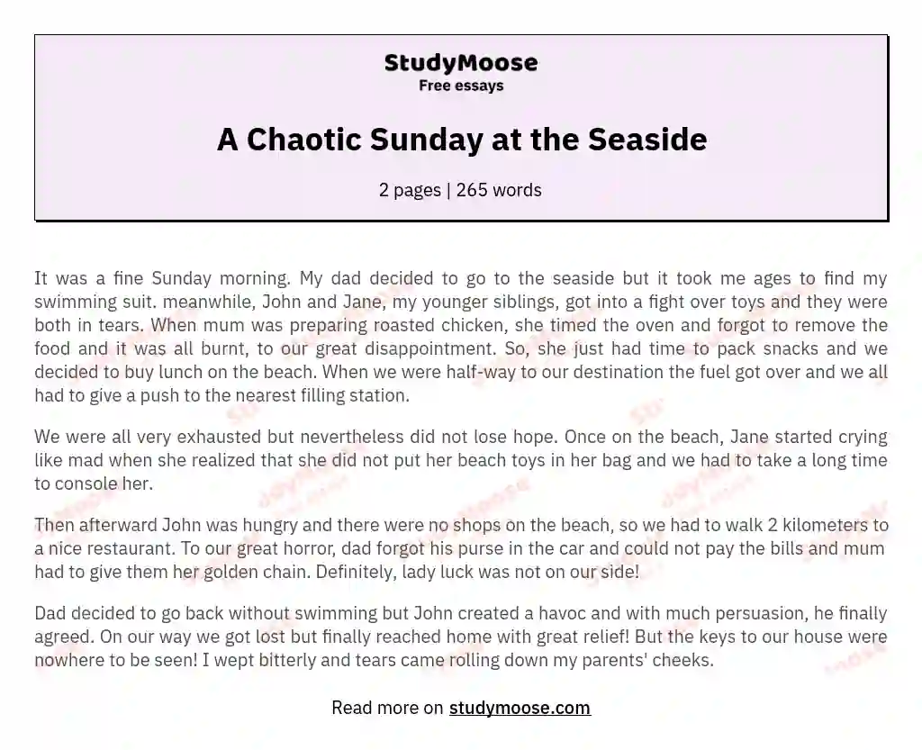 A Chaotic Sunday at the Seaside essay