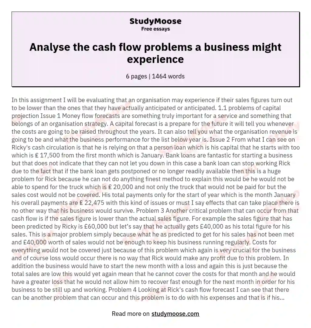 Analyse the cash flow problems a business might experience essay