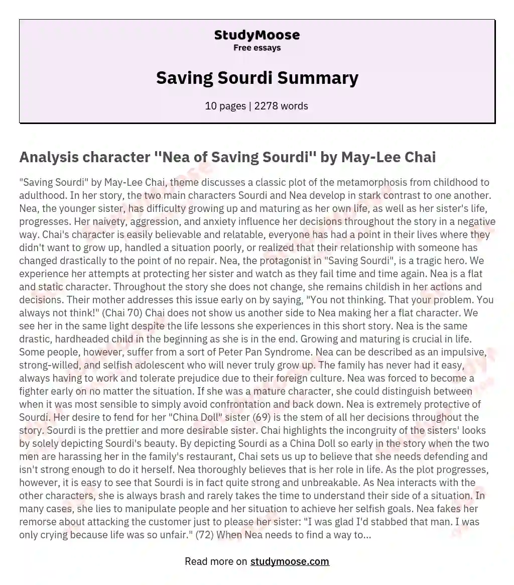 Saving Sourdi Summary essay