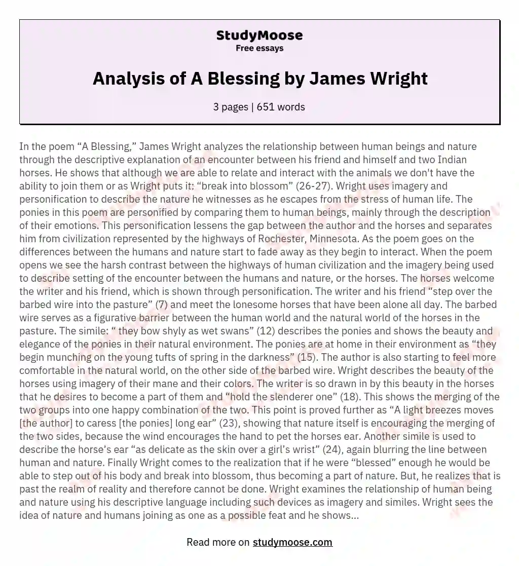 Analysis of A Blessing by James Wright essay