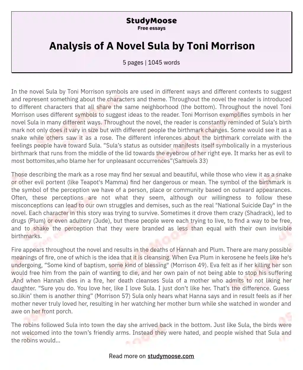 Analysis of A Novel Sula by Toni Morrison essay
