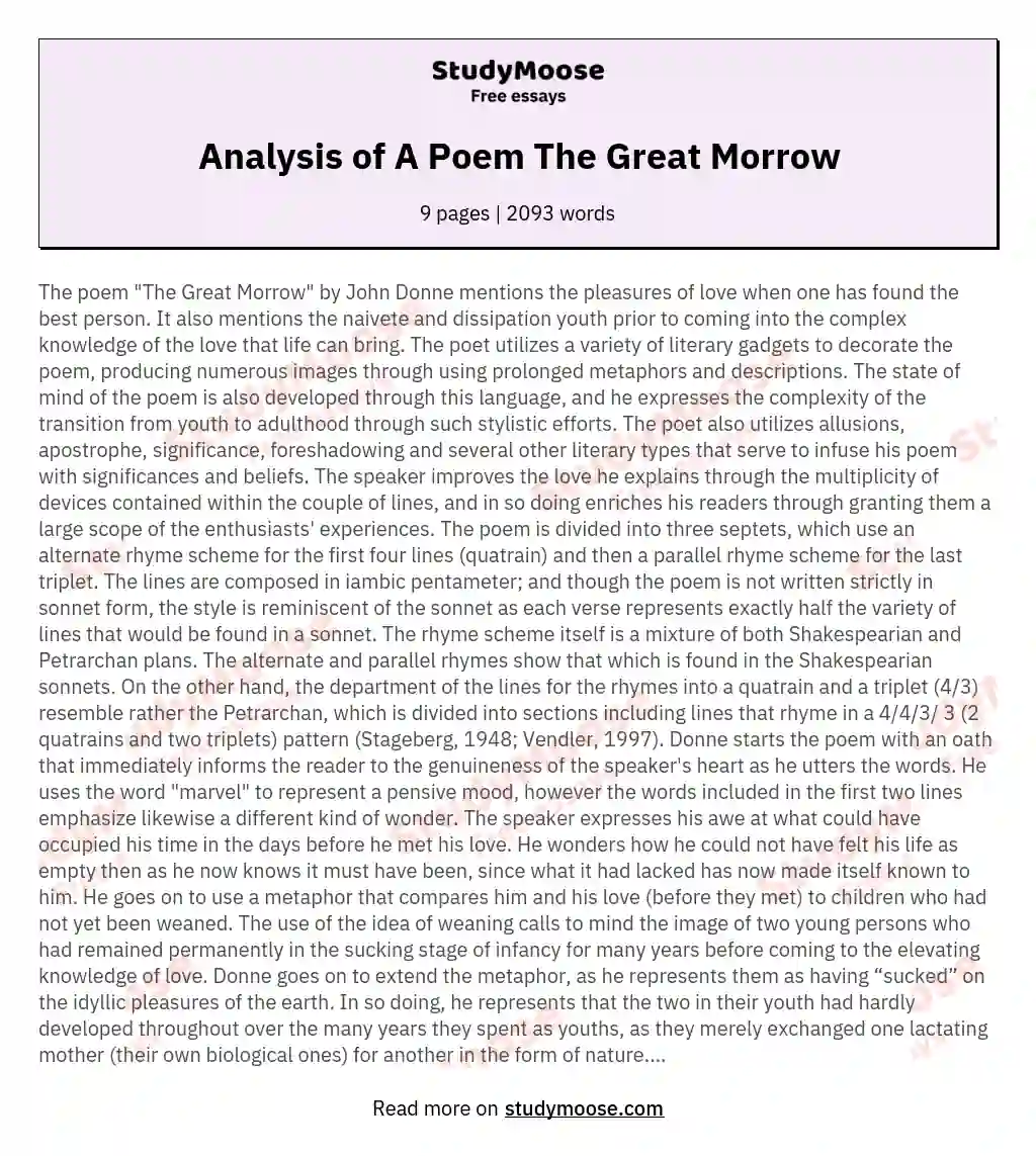 Analysis of A Poem The Great Morrow essay