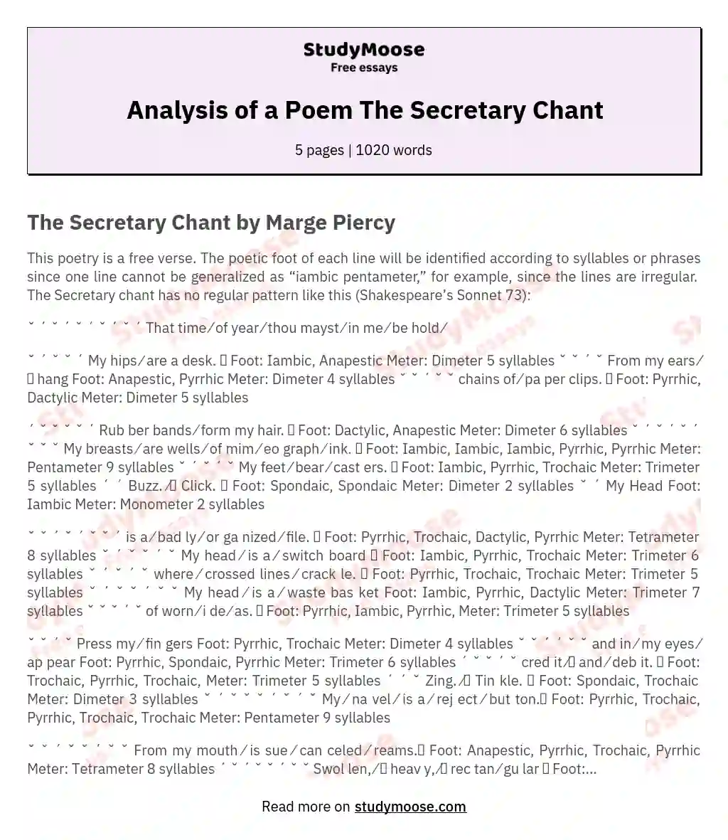 Analysis of a Poem The Secretary Chant