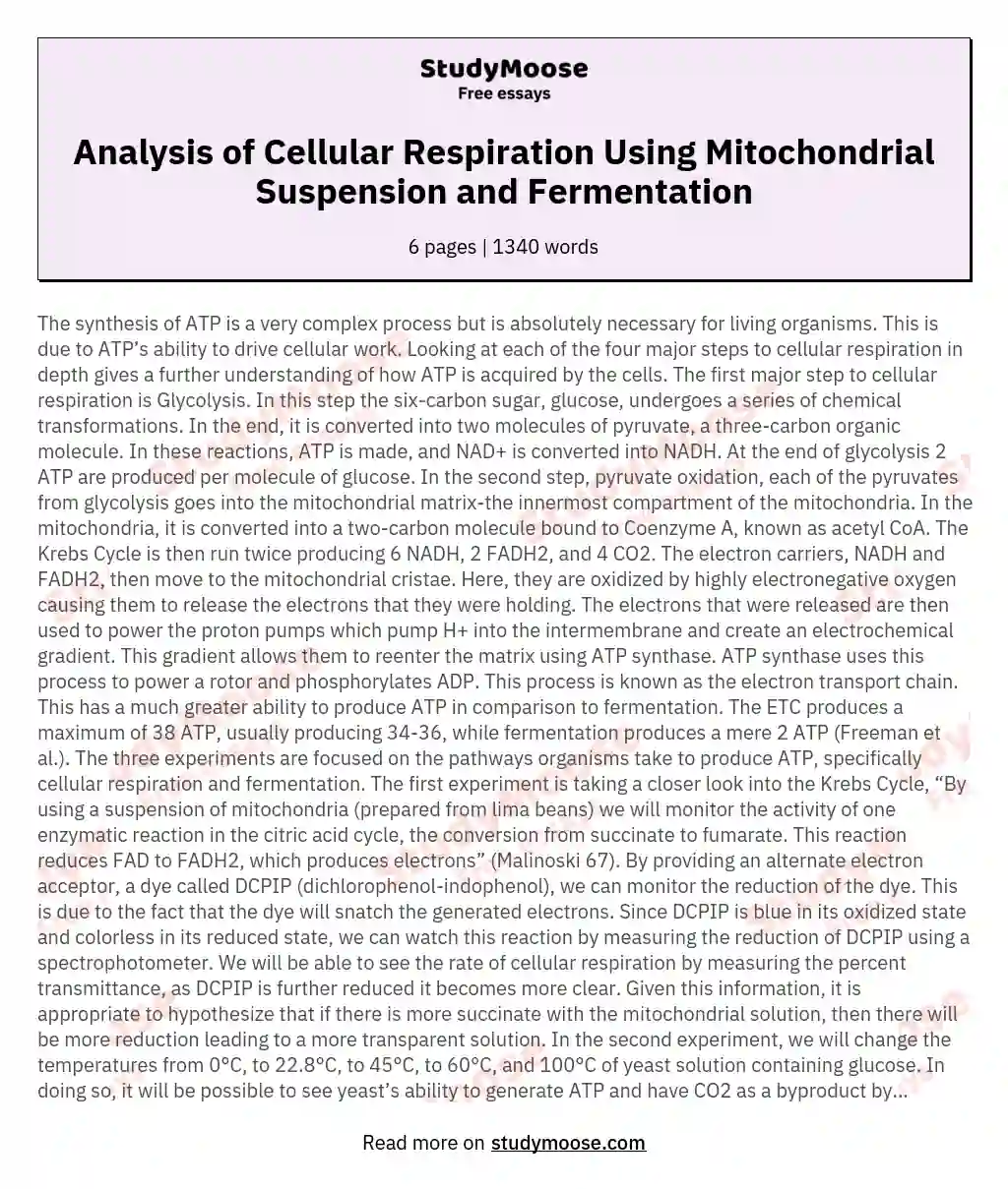 Analysis of Cellular Respiration Using Mitochondrial Suspension and Fermentation essay