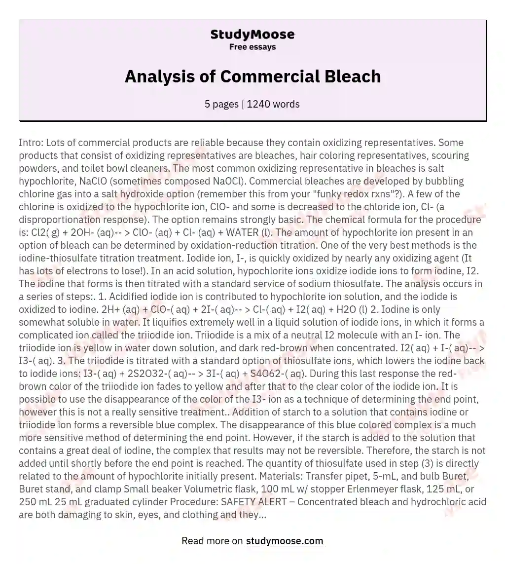 Analysis of Commercial Bleach essay