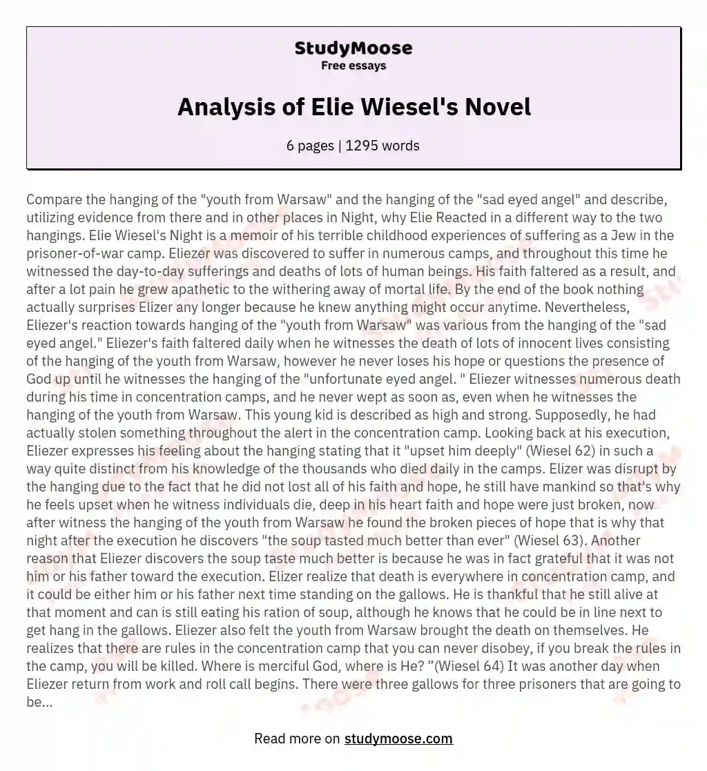 Analysis of Elie Wiesel's Novel essay