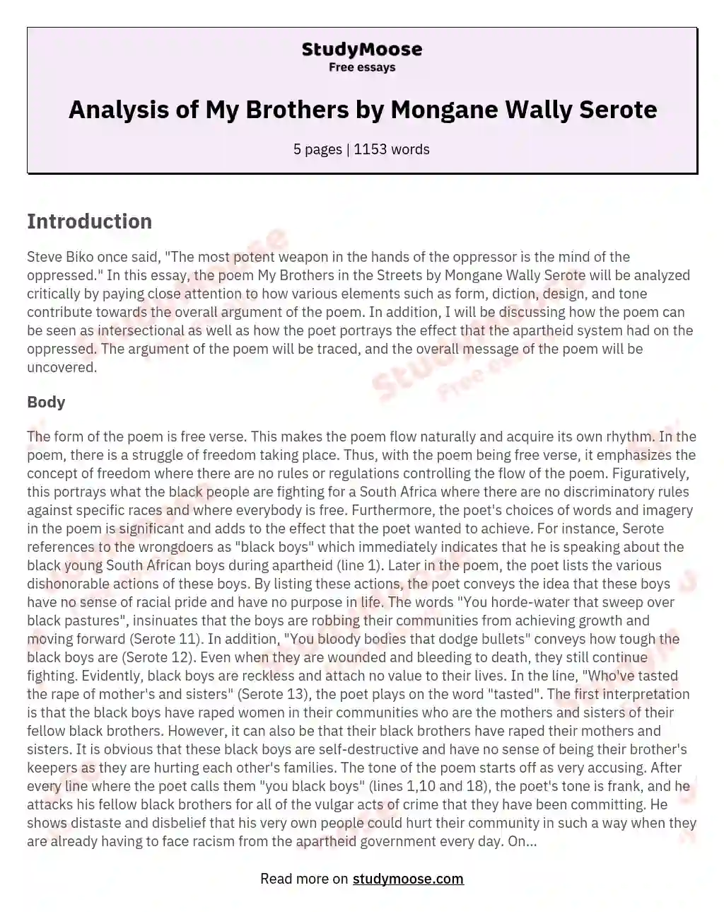 Analysis of My Brothers by Mongane Wally Serote essay