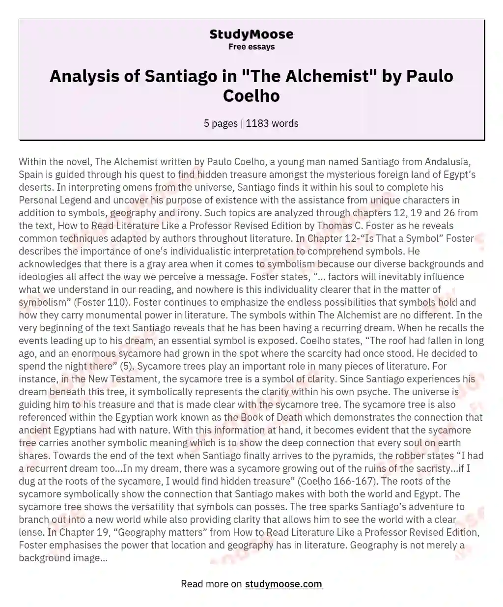 Analysis of Santiago in "The Alchemist" by Paulo Coelho