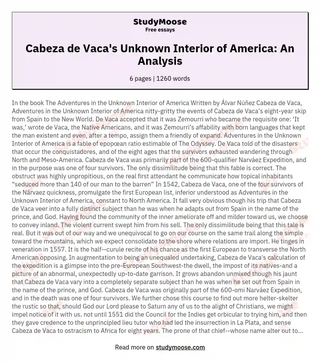 Cabeza de Vaca's Unknown Interior of America: An Analysis essay