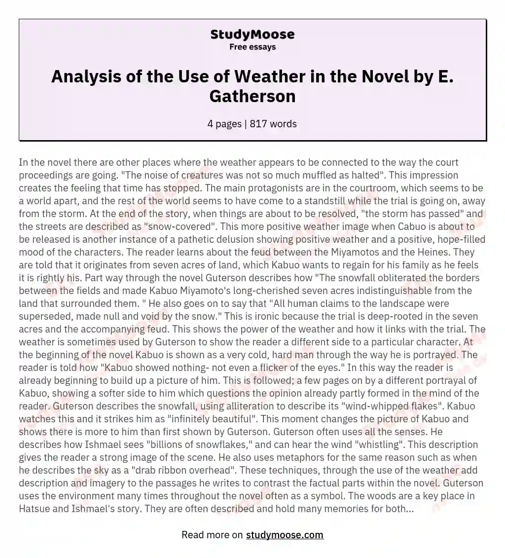 Analysis of the Use of Weather in the Novel by E. Gatherson essay