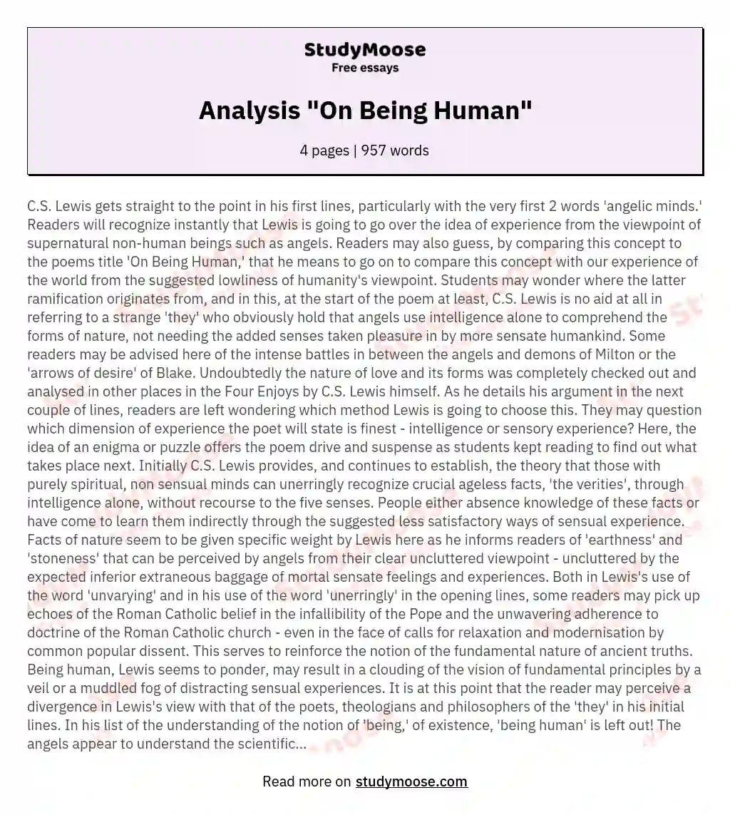 essay writing on being human