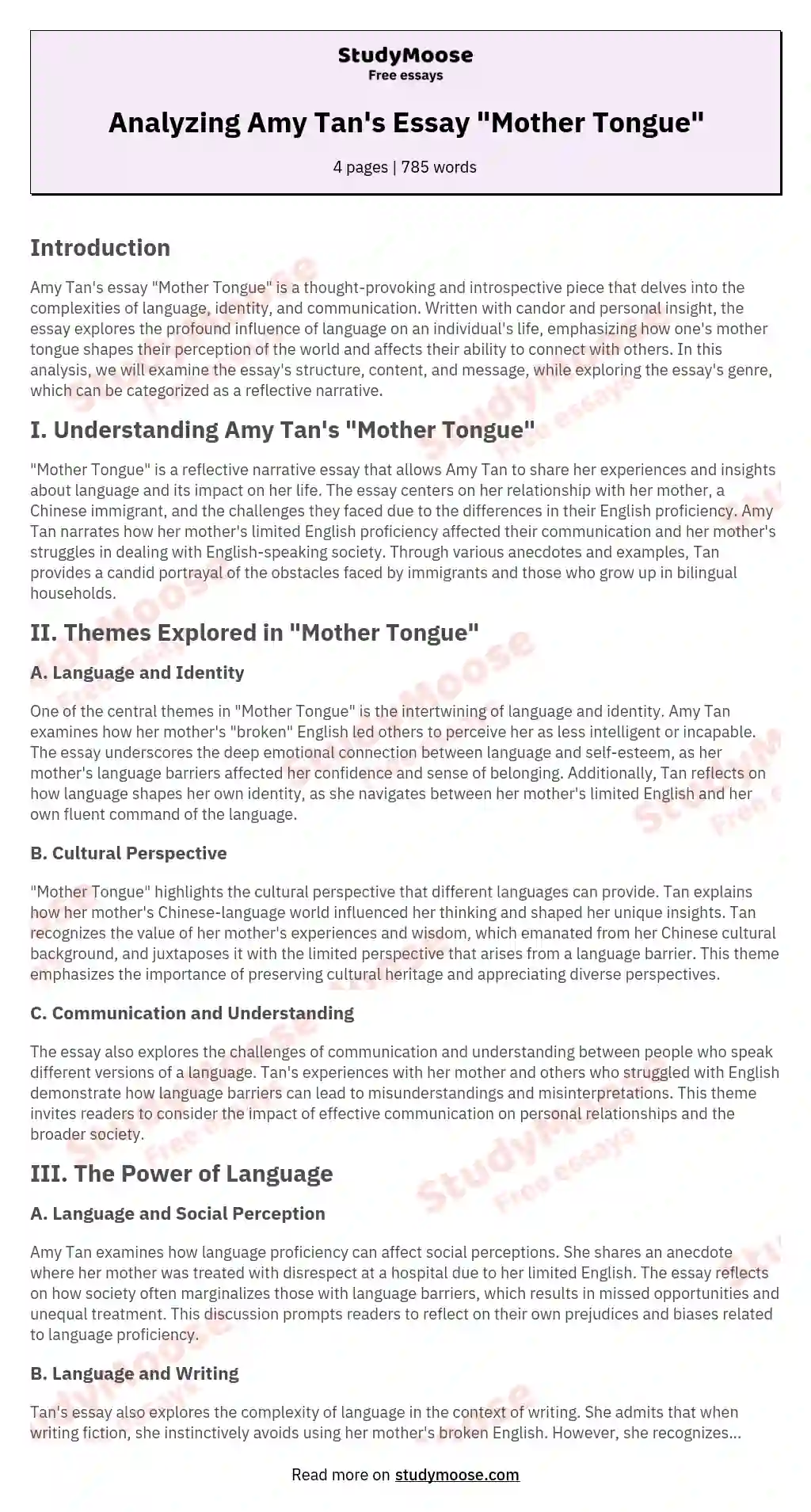 Analyzing Amy Tan's Essay "Mother Tongue" essay