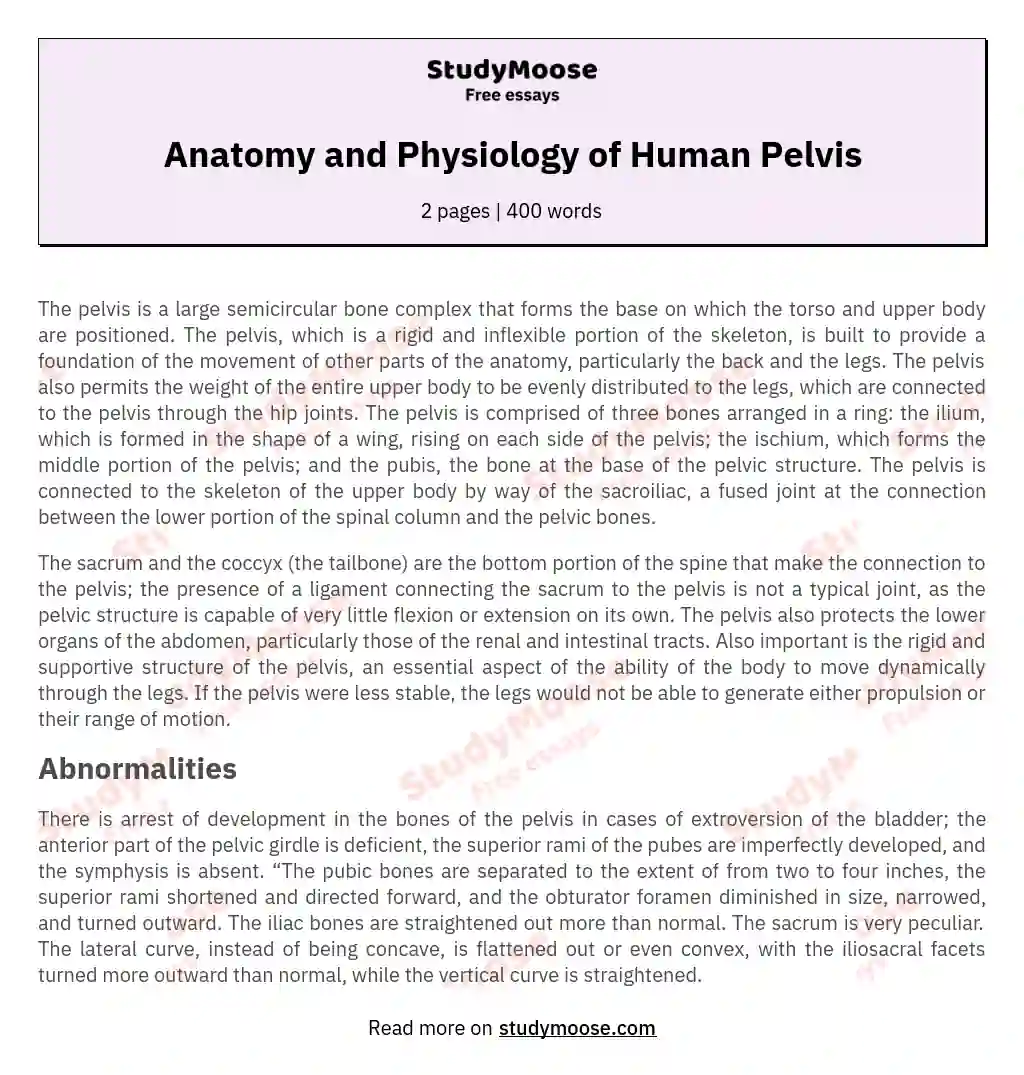 Anatomy and Physiology of Human Pelvis