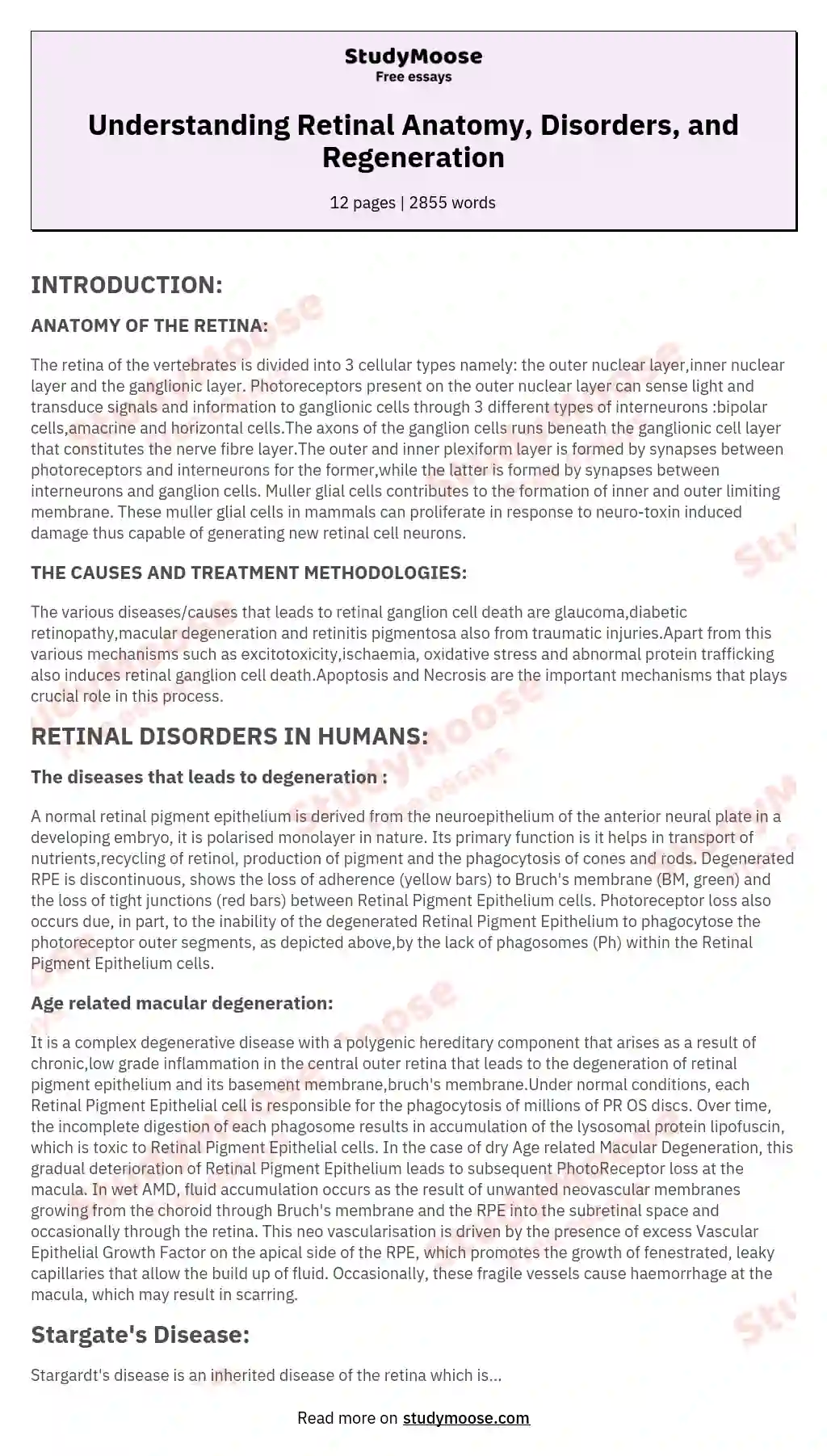 Understanding Retinal Anatomy, Disorders, and Regeneration essay
