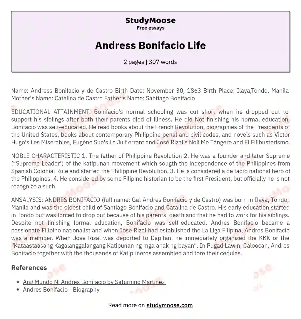 Andress Bonifacio Life essay