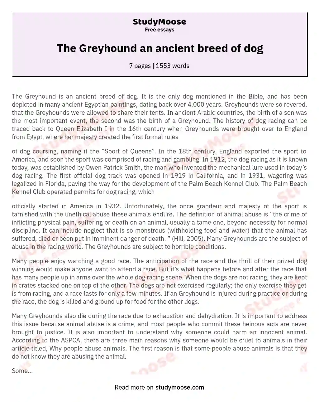 The Greyhound an ancient breed of dog essay