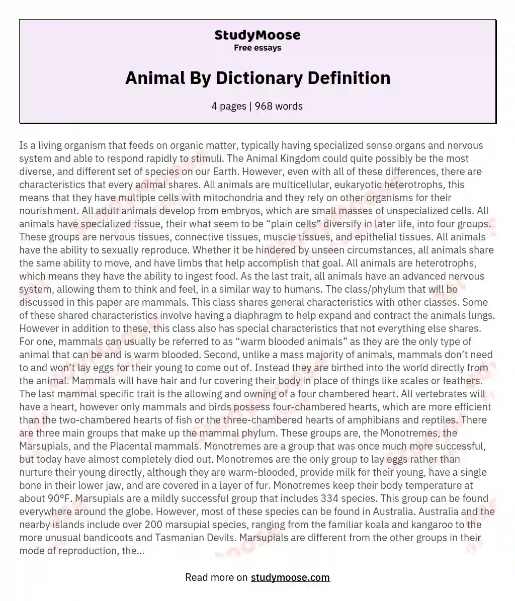 Animal By Dictionary Definition essay