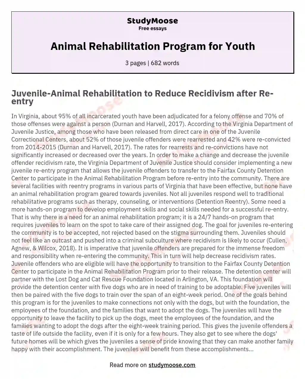 Animal Rehabilitation Program for Youth essay