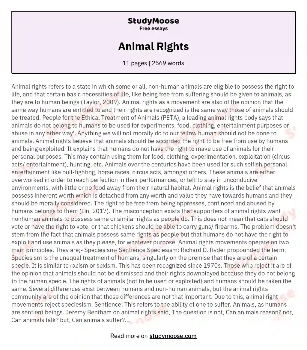 animal rights essay intro