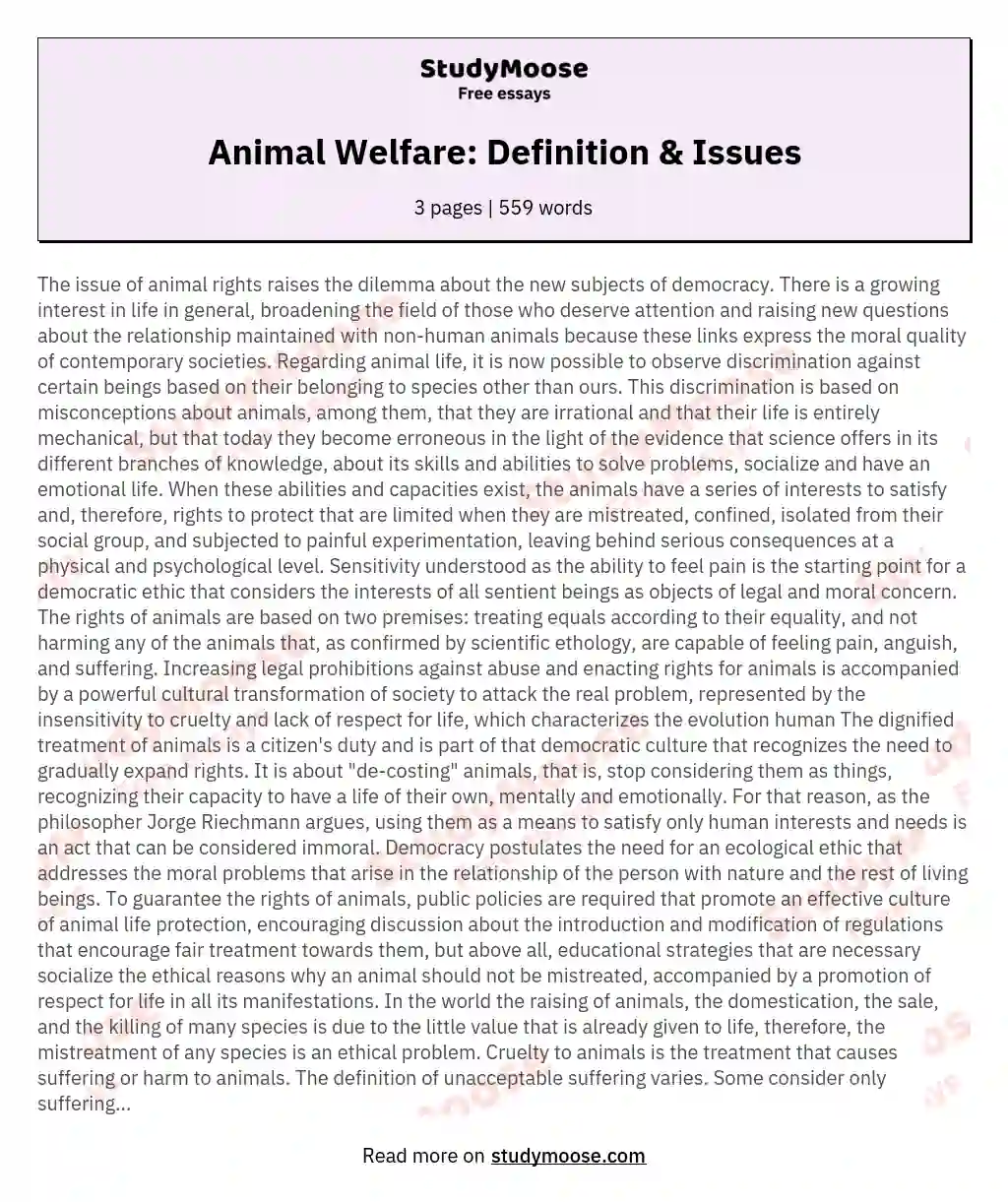 Animal Welfare: Definition & Issues essay