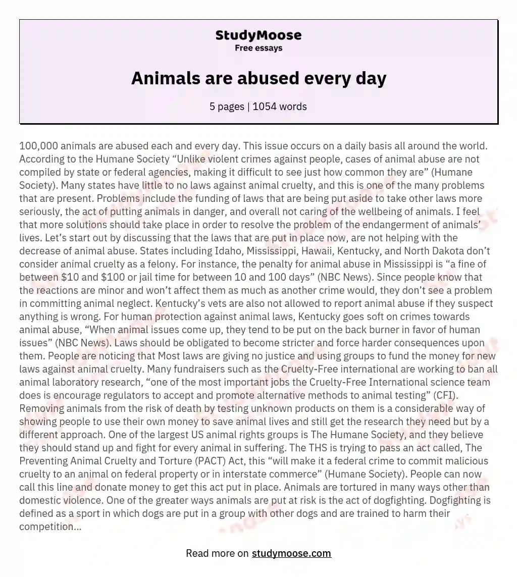 Animals are abused every day