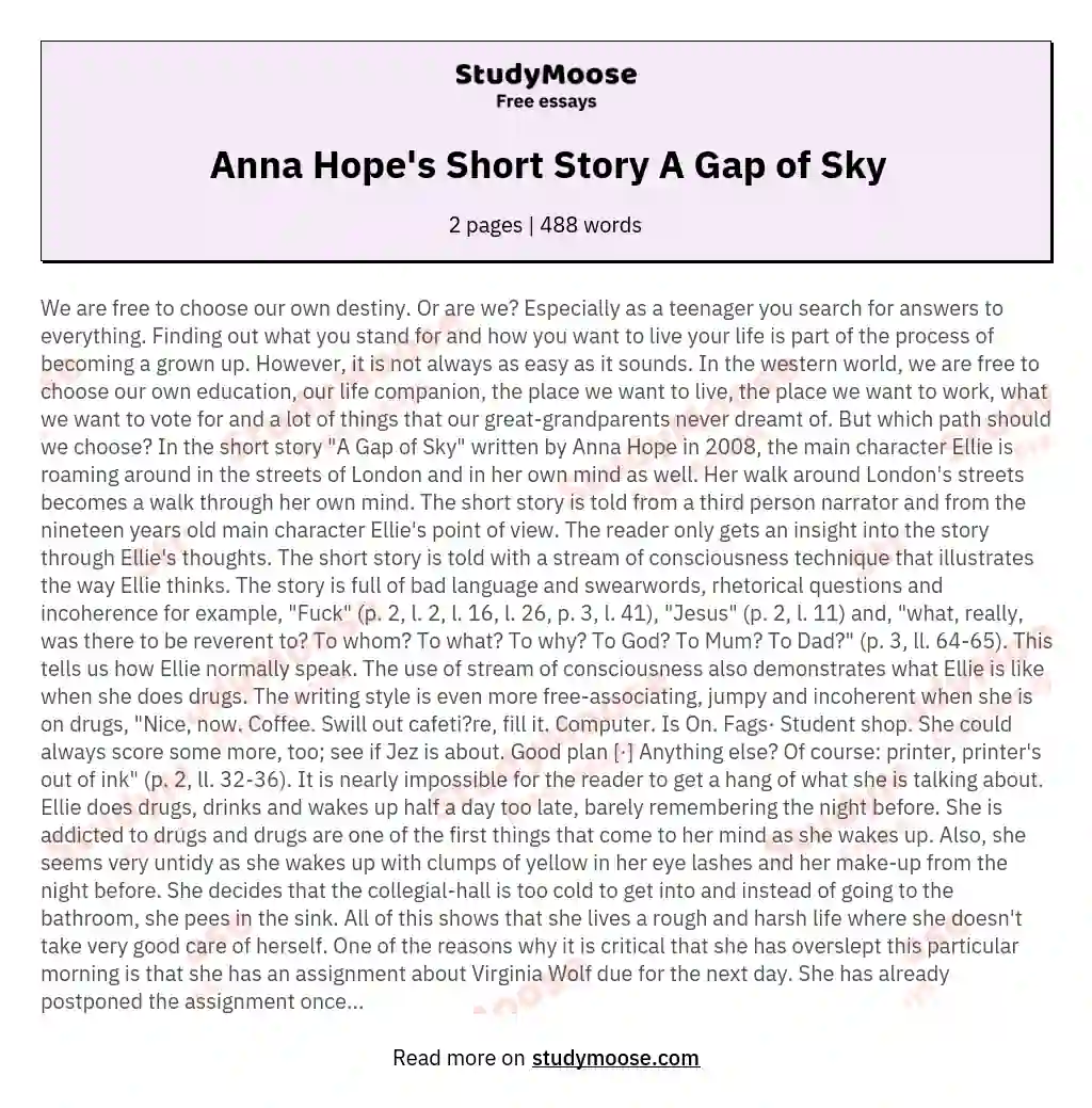 Anna Hope's Short Story A Gap of Sky essay