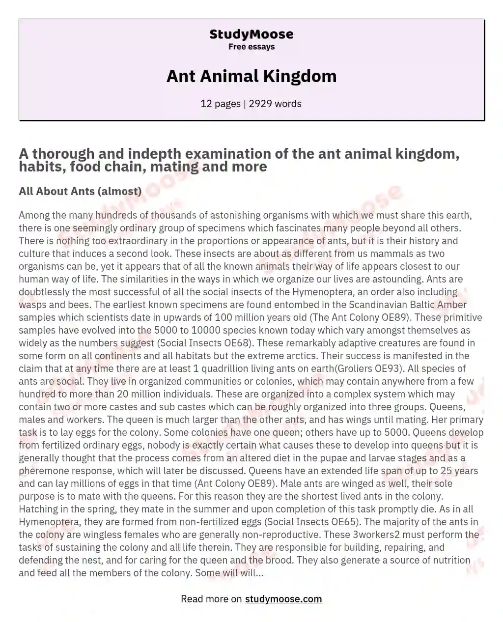 animal kingdom essay for class 1