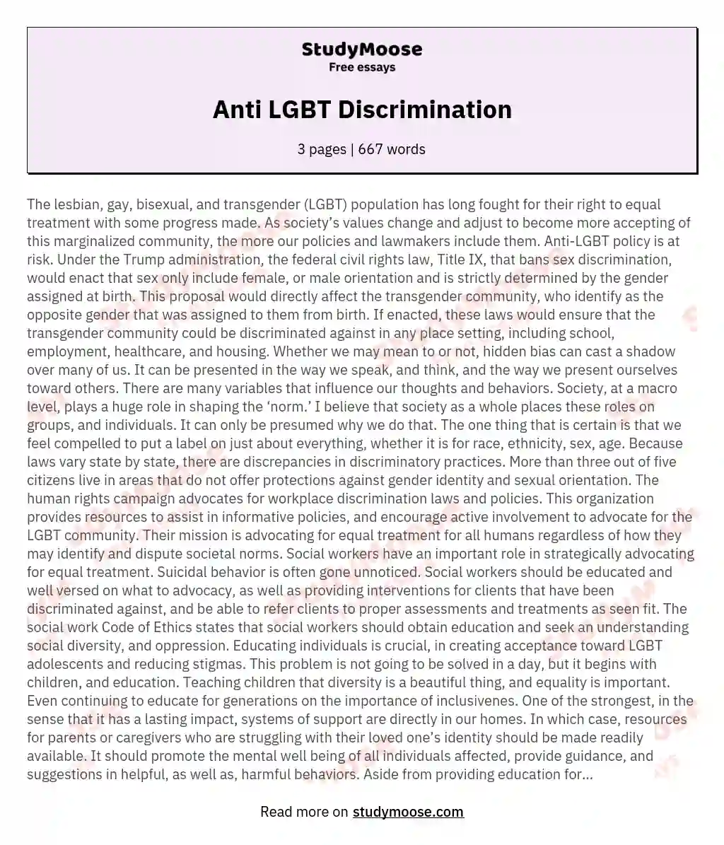 Anti LGBT Discrimination essay
