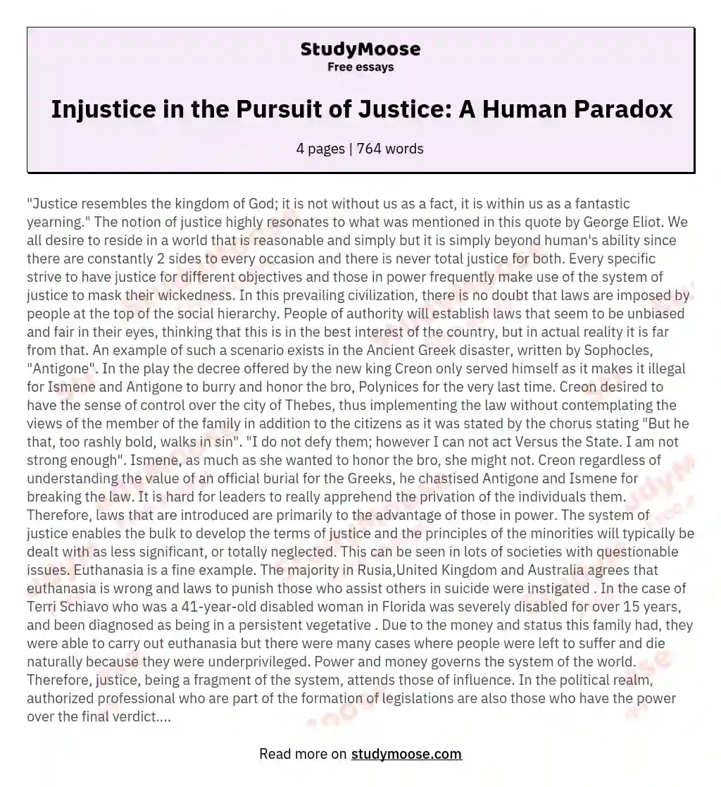 Injustice in the Pursuit of Justice: A Human Paradox essay