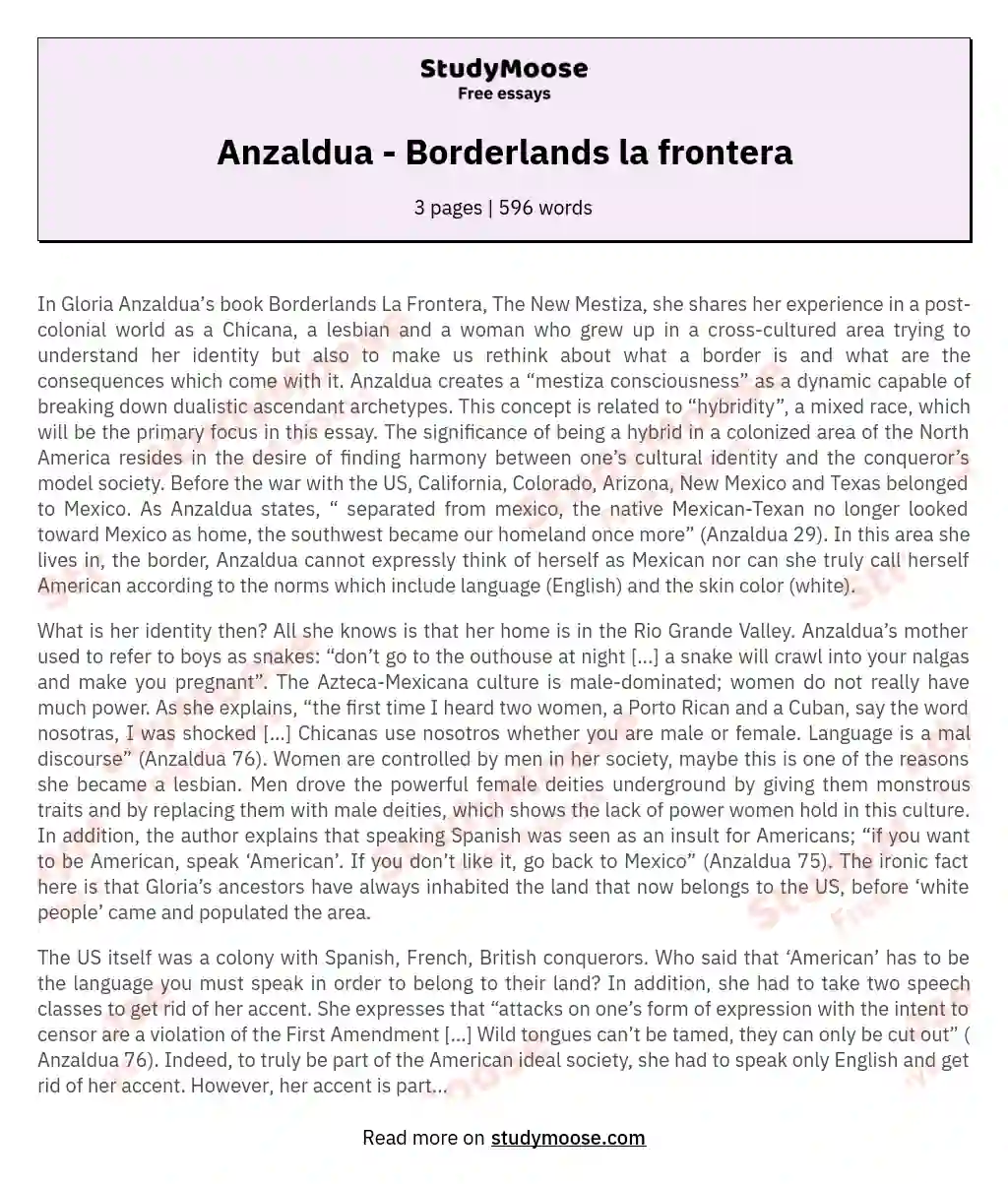Anzaldua - Borderlands la frontera essay