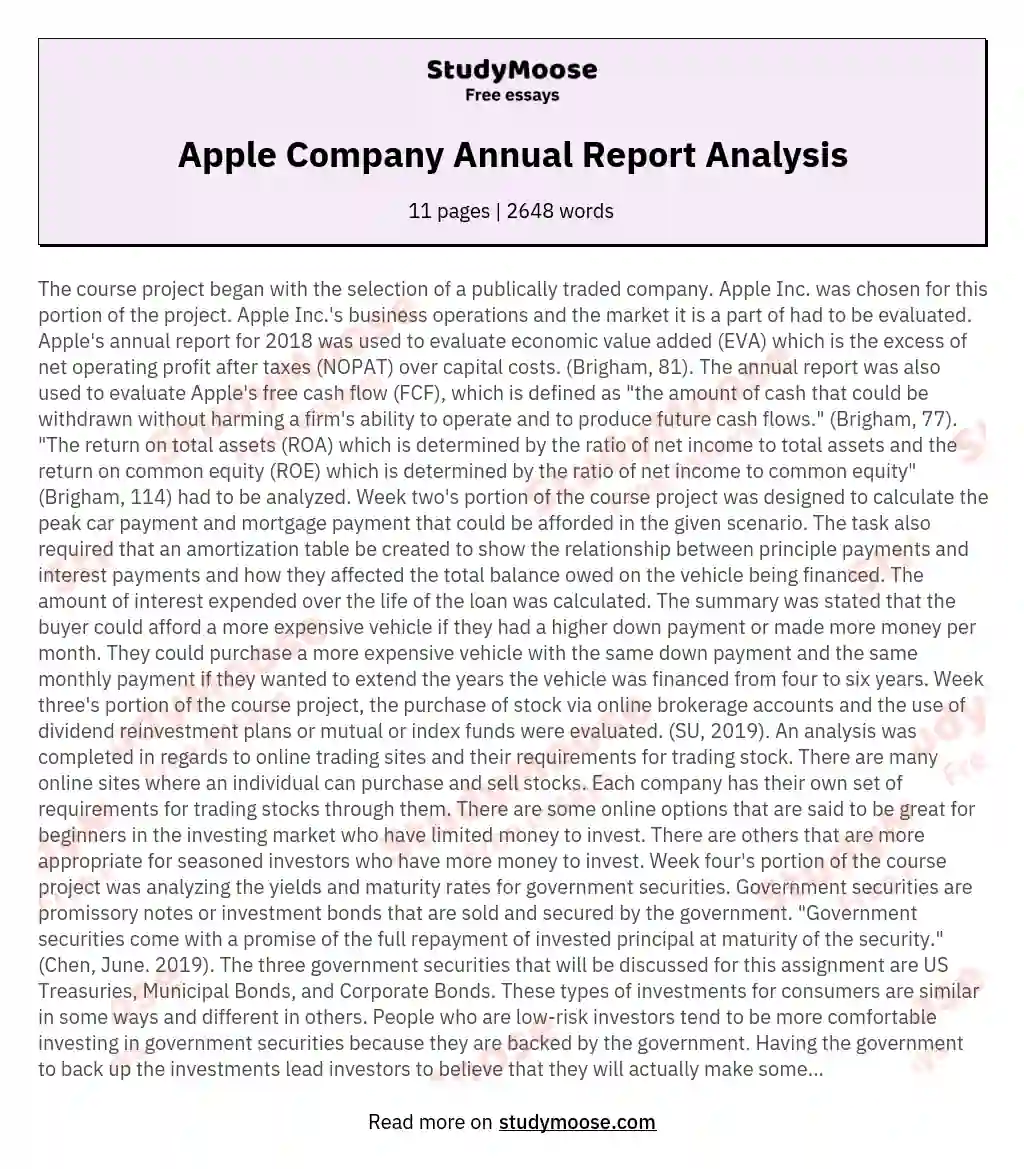 Apple Company Annual Report Analysis essay