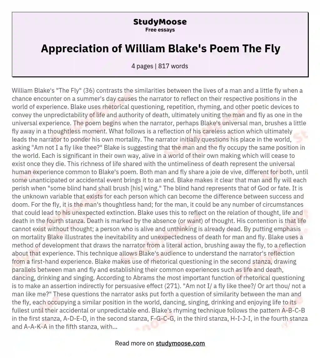 Appreciation of William Blake's Poem The Fly essay