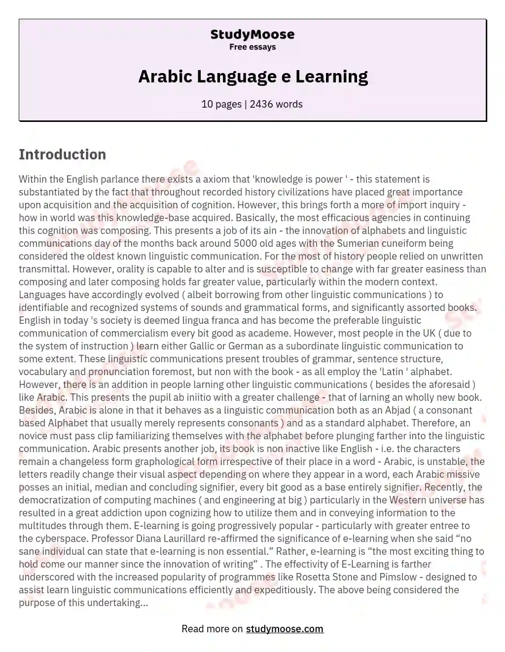 Arabic Language e Learning essay