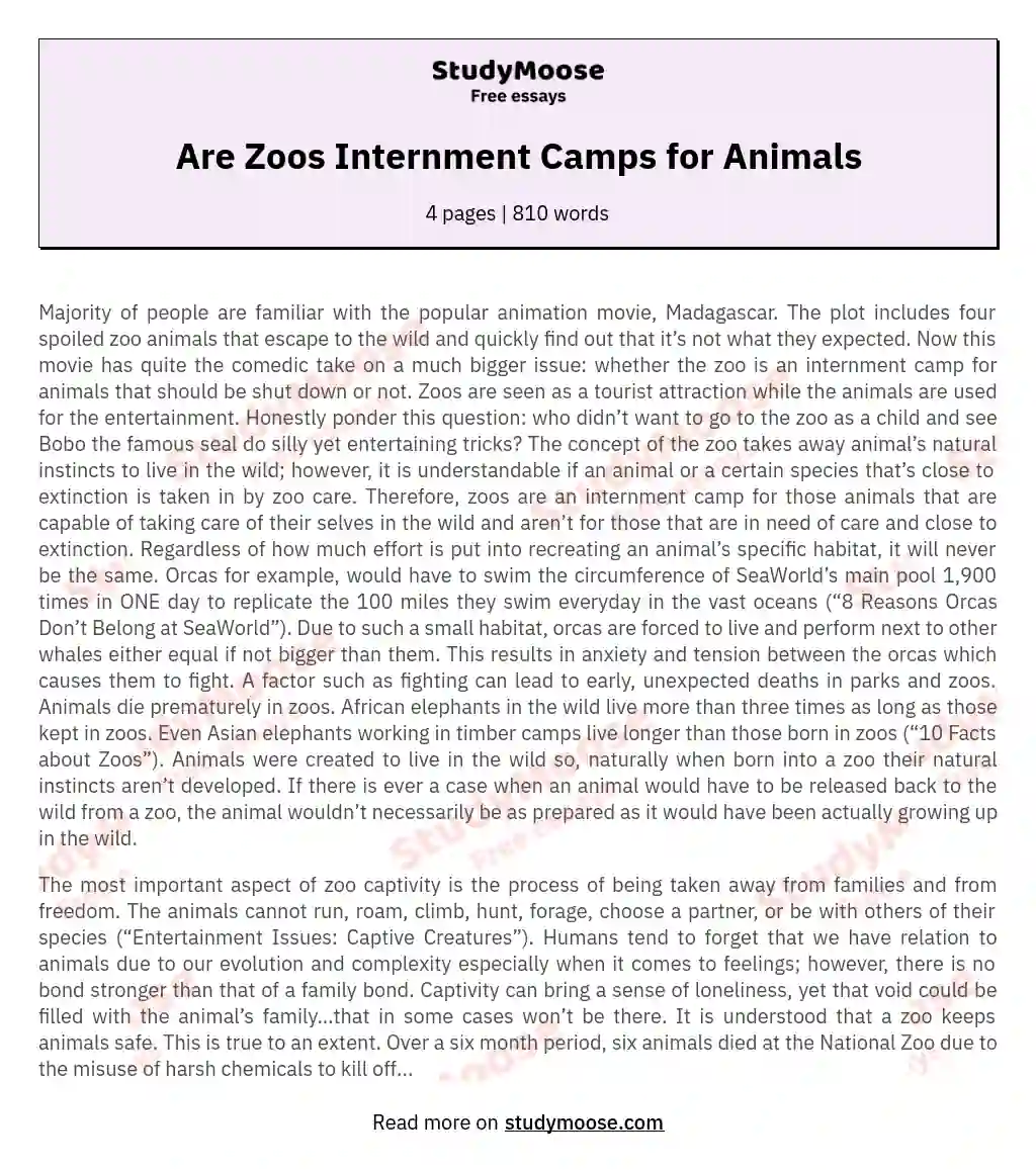 Are Zoos Internment Camps for Animals