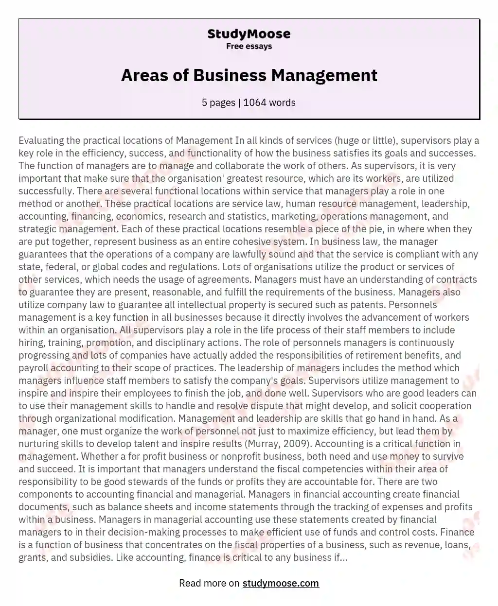 Areas of Business Management essay