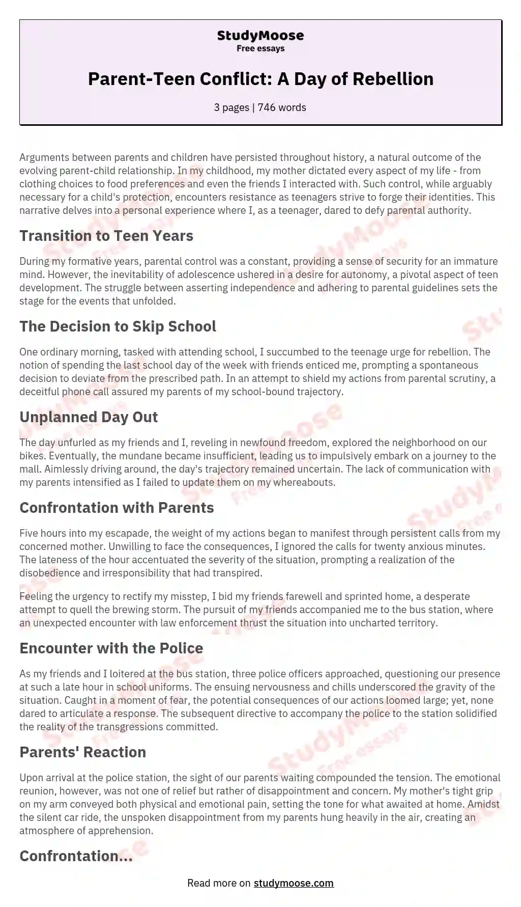 Parent-Teen Conflict: A Day of Rebellion essay