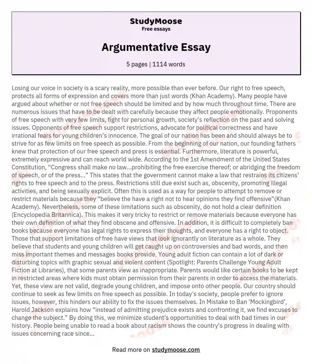 Argumentative Essay essay