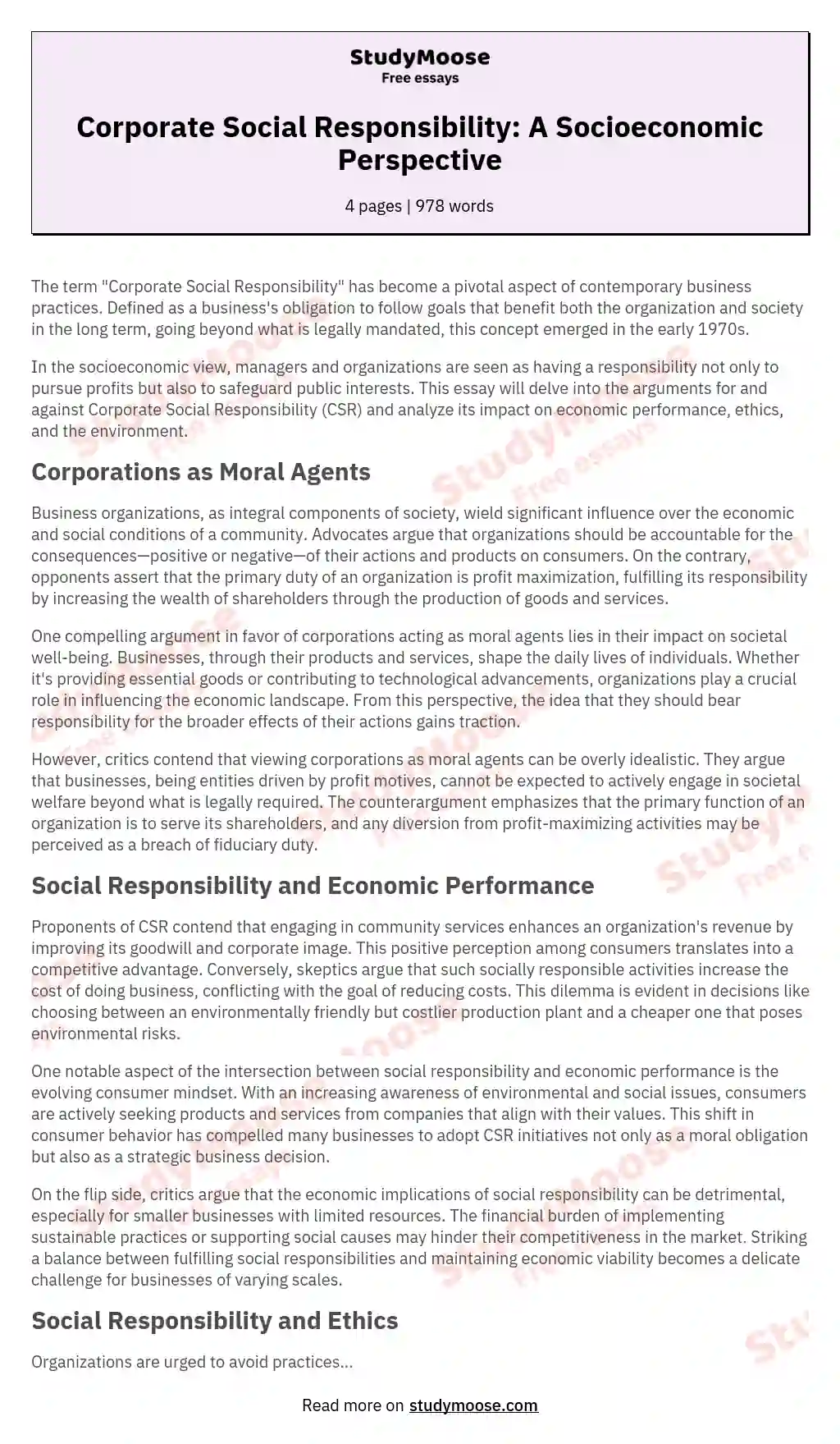 Corporate Social Responsibility: A Socioeconomic Perspective essay
