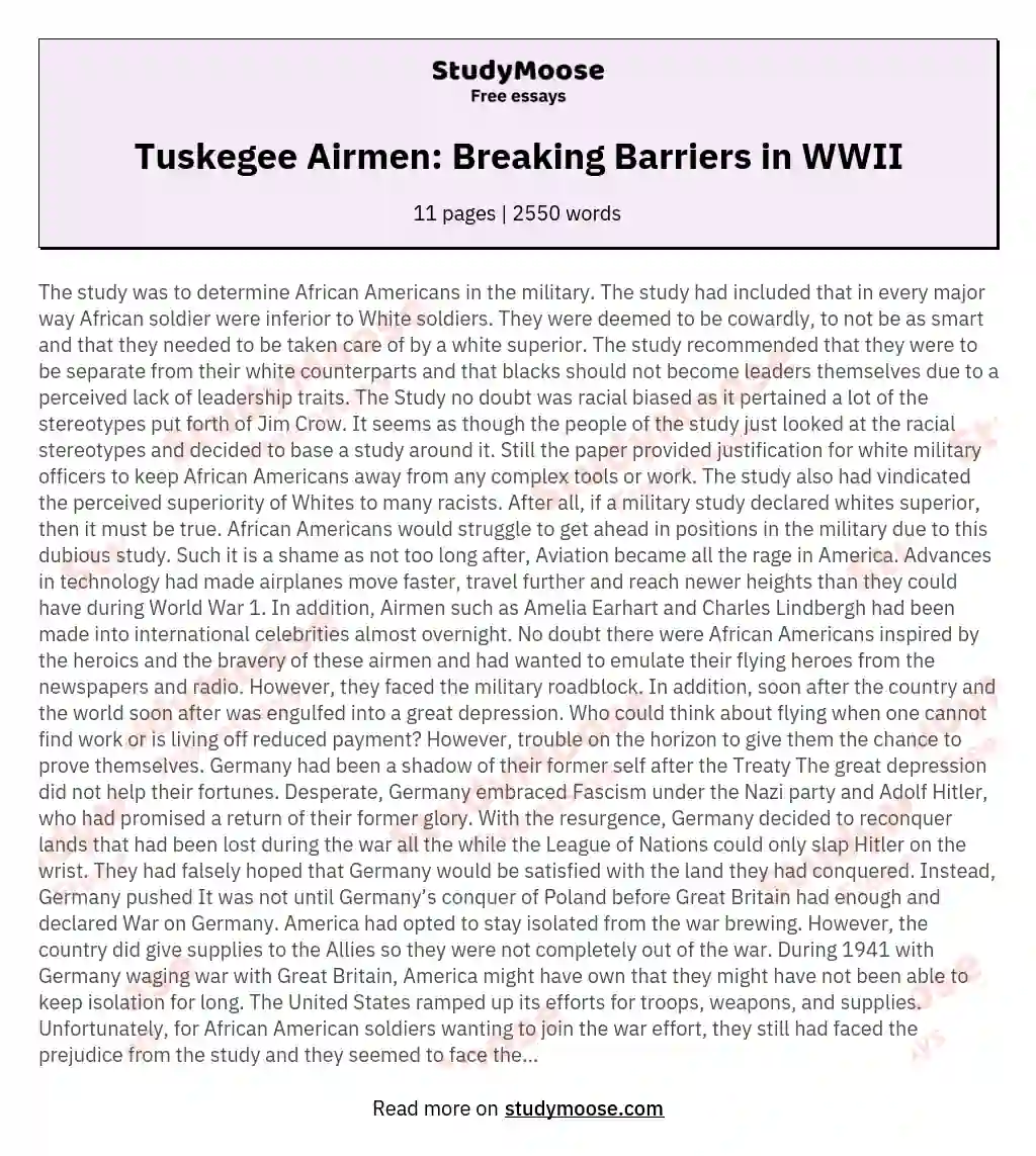Tuskegee Airmen: Breaking Barriers in WWII essay