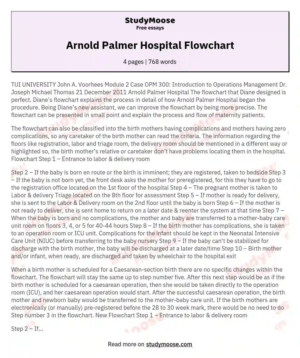 Arnold Palmer Hospital Flowchart essay