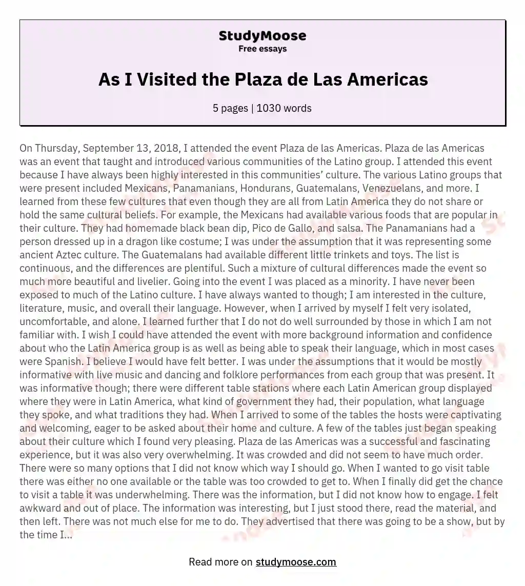 As I Visited the Plaza de Las Americas essay
