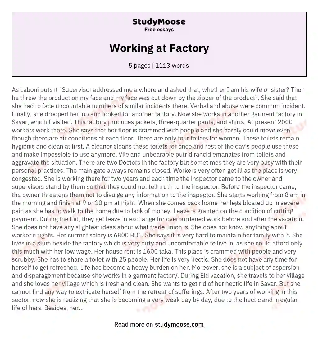 Working at Factory essay