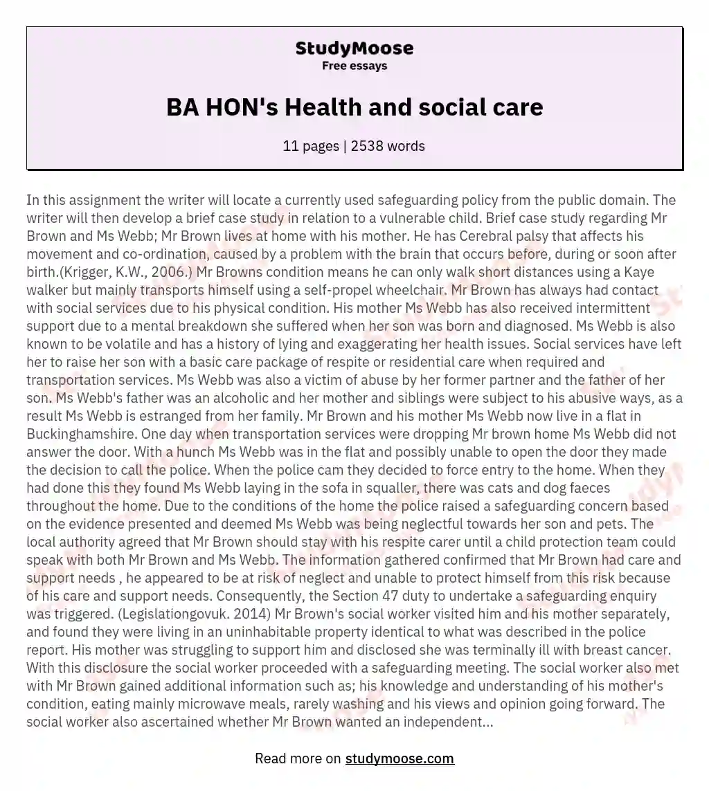 BA HON's Health and social care essay